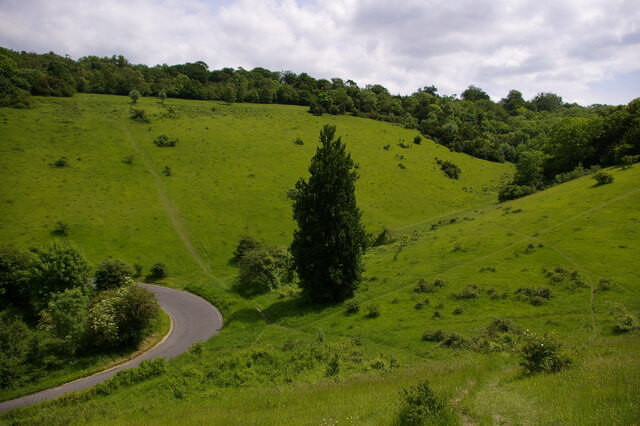 Box Hill ZigZag